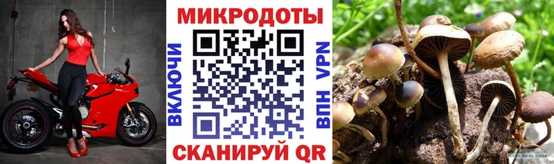 дарнет шоп  Бирюсинск  OMG зеркало  Галлюциногенные грибы GOLDEN TEACHER 
